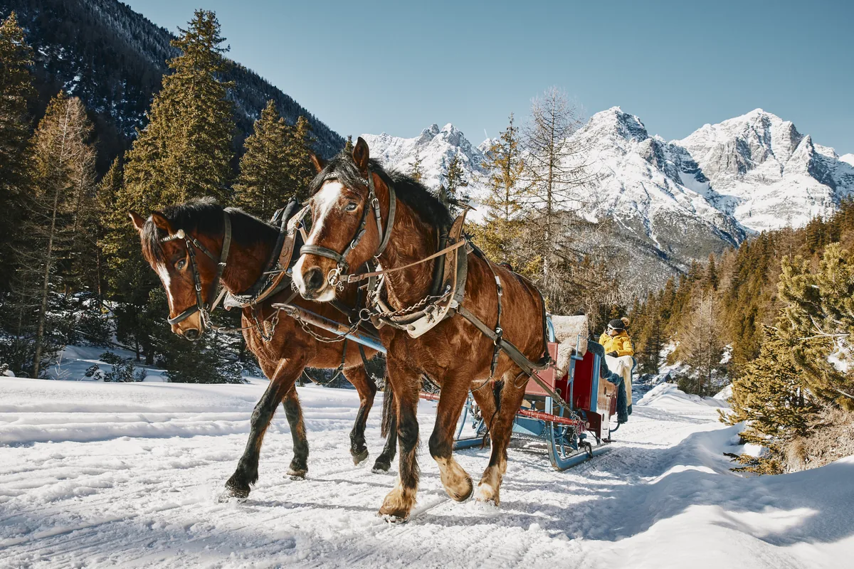 Twee paarden trekken een slee door de sneeuw, met witte bergtoppen erachter.