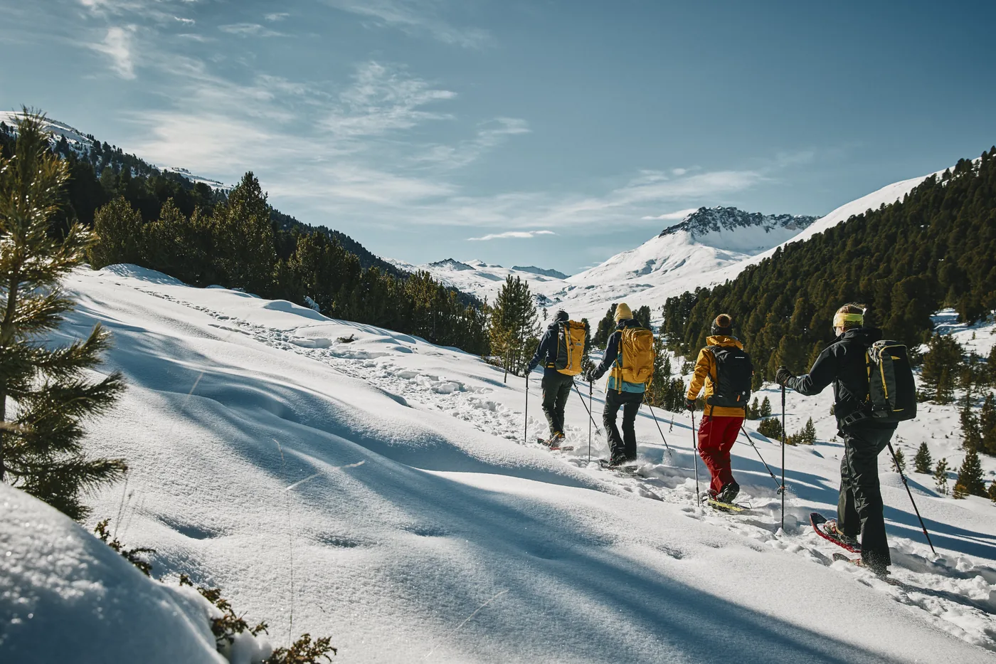 Vier wandelaars op sneeuwschoenen lopen achter elkaar over een besneeuwde helling, met de bergen in de zon.