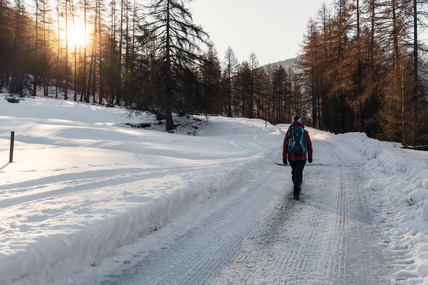 Een wandelaar loopt over een besneeuwde weg tussen de lariksen, met de zon achter de bomen.